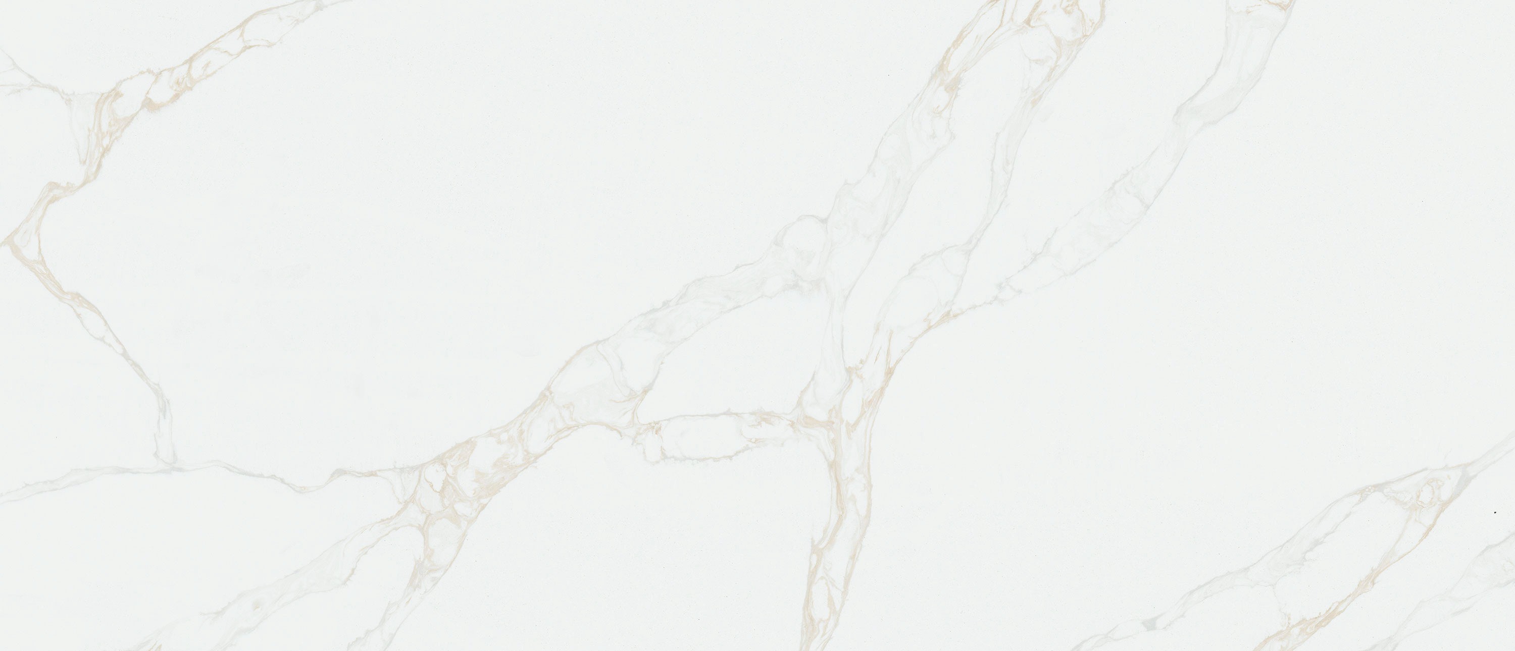 Calacatta Rivessa quartz slab