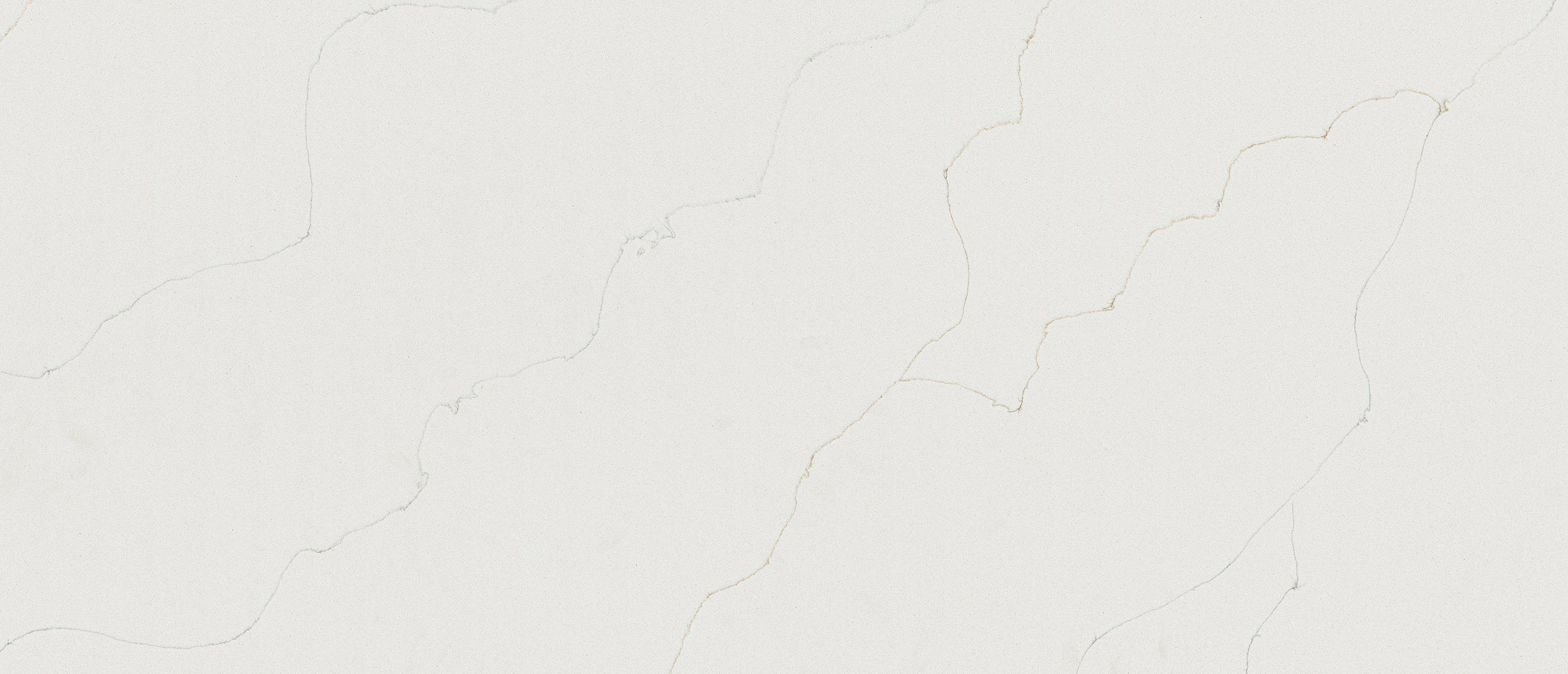 Calacatta Duolina quartz slab