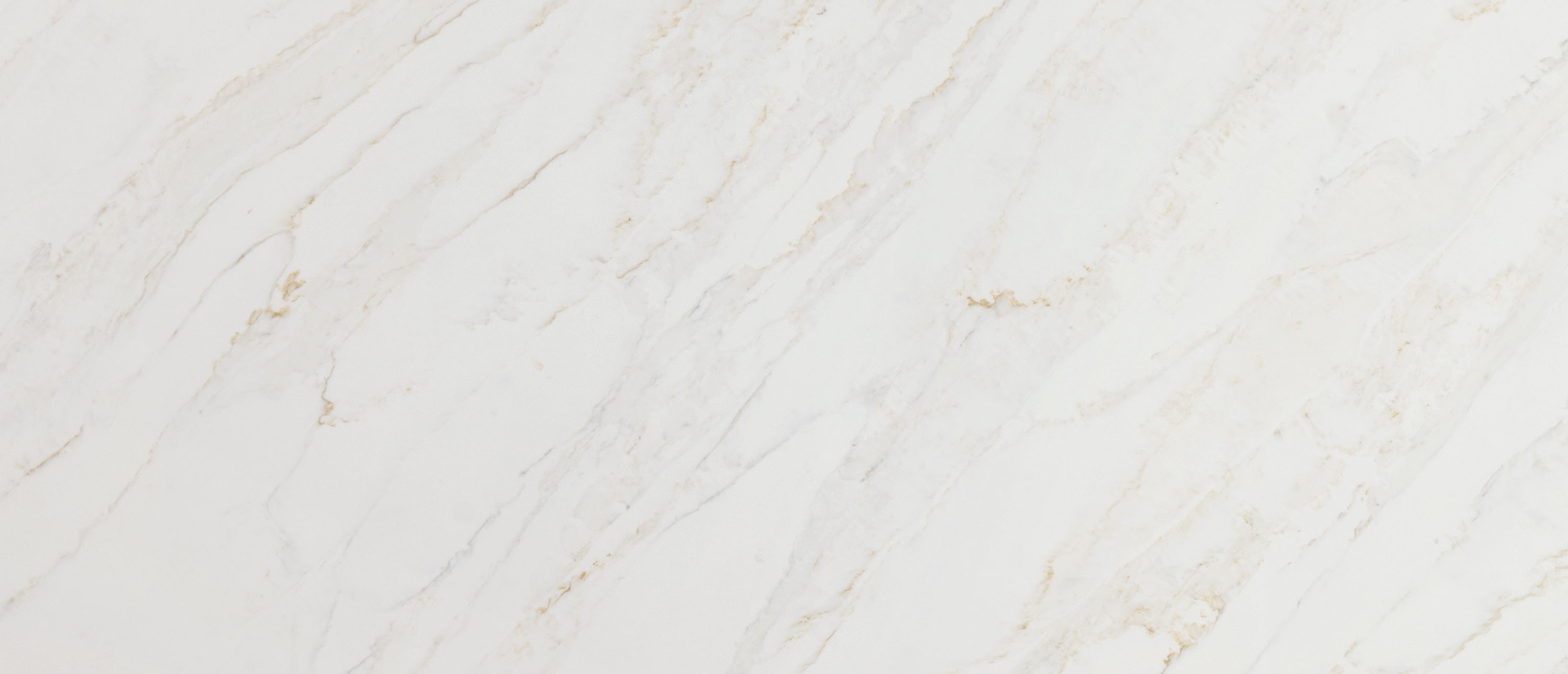 Calacatta Premata quartz slab