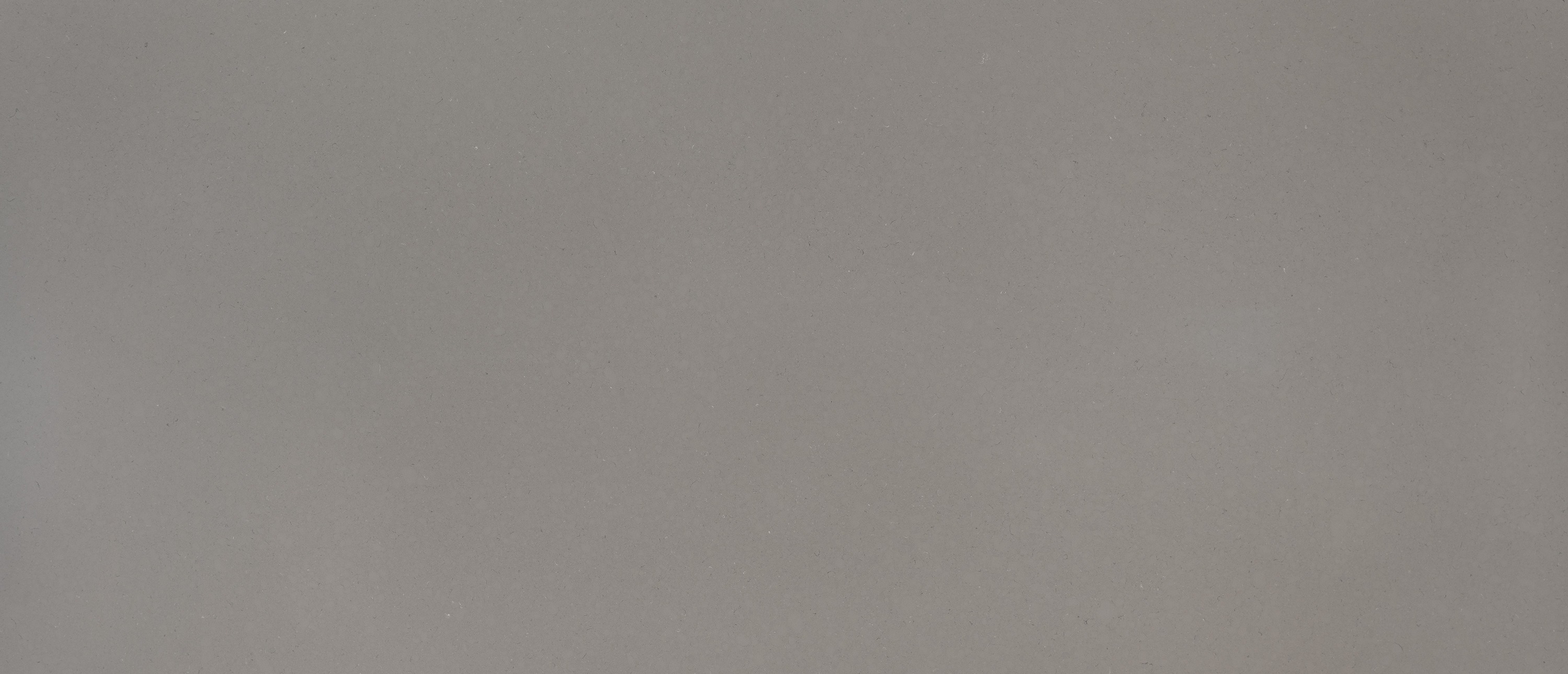 Fossil Gray quartz slab