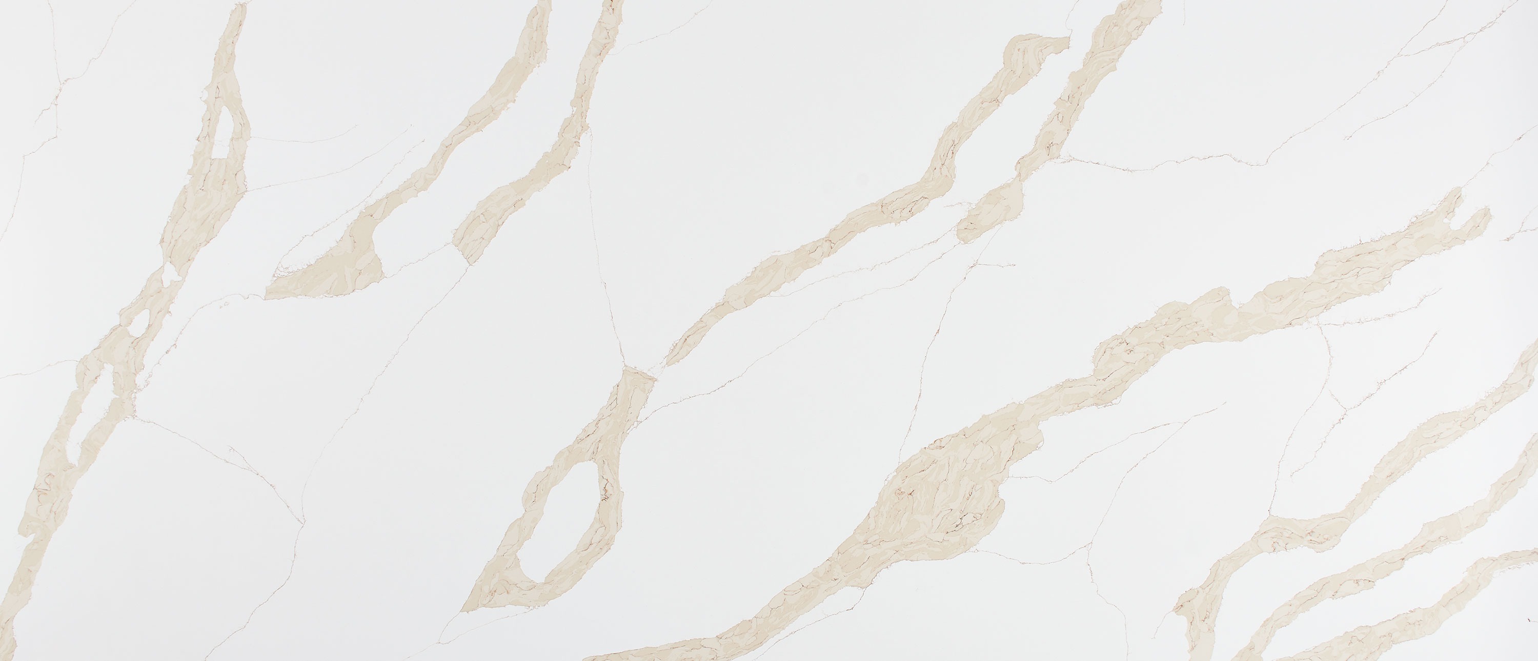 Calacatta Leon Gold quartz slab