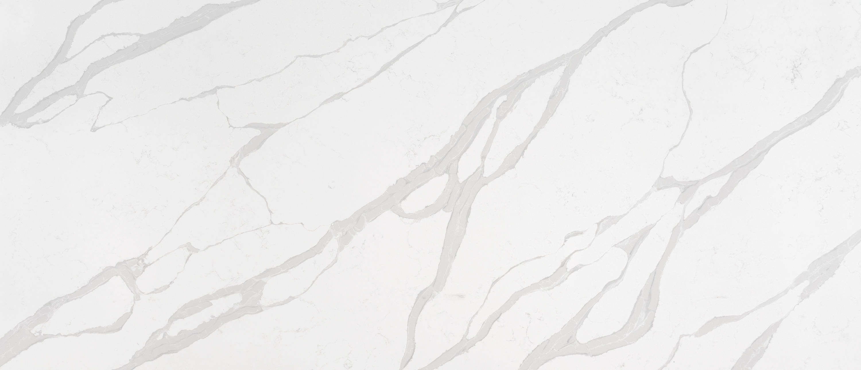 Calacatta Luccia quartz slab